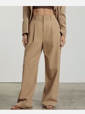Everlane Way High Drape Pant